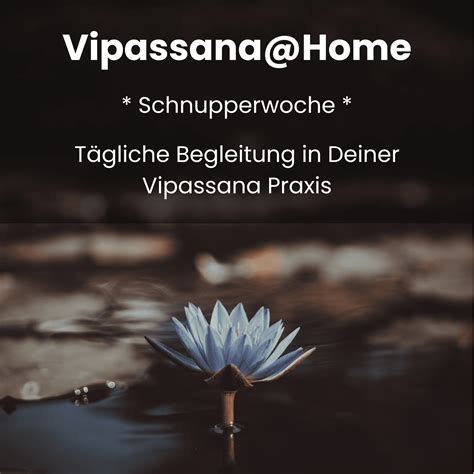 Erlebe Was Vipassana Bewirken Kann Vipassana Jetzt