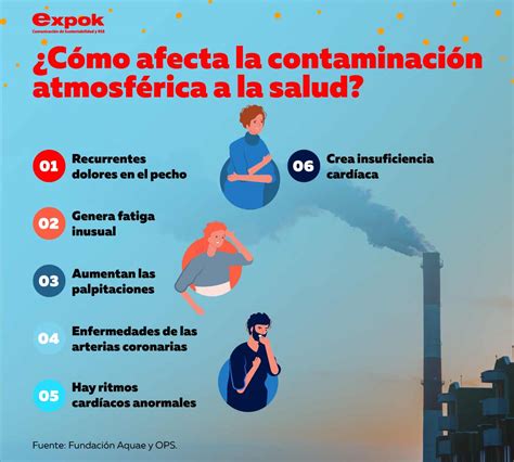 Cómo Afecta La Contaminacion MiBBmemima