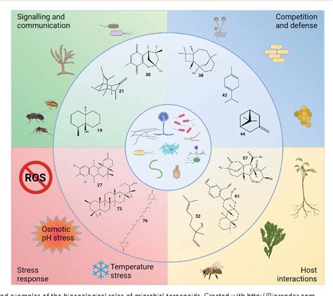 Figure 1 From Biosynthesis Evolution And Ecology Of Microbial