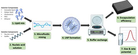 Formulating And Characterizing Lipid Nanoparticles For Gene Delivery