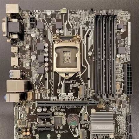 Материнская плата Asus Prime B250M-A (LGA 1151) | Festima.Ru – частные ...