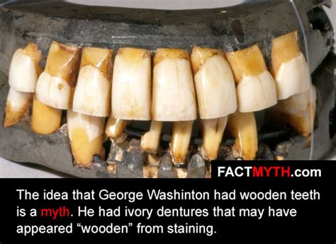 George Washington Had Wooden Teeth - Fact or Myth?