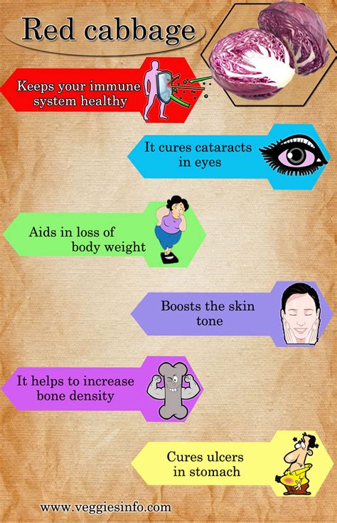 Red Cabbage Benefits Veggies Info Veggies Info
