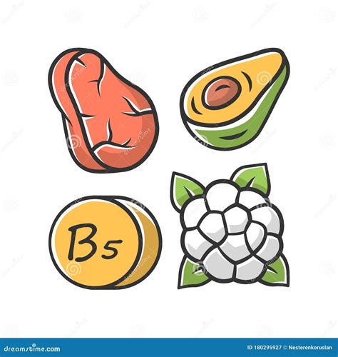 Vitamin B5 Color Icon Meat Avocado And Cauliflower Healthy Eating