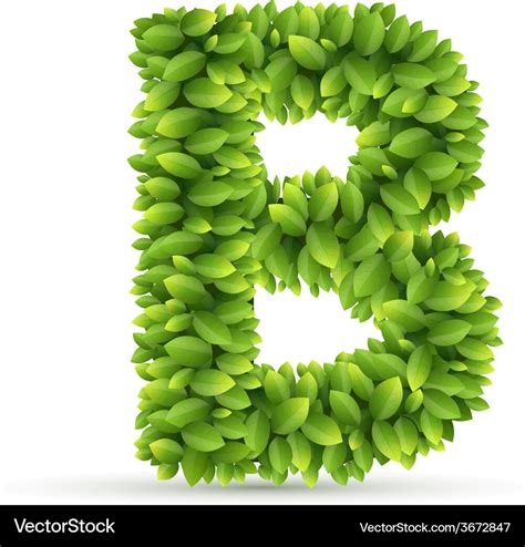 Letter B Alphabet Of Green Leaves Royalty Free Vector Image