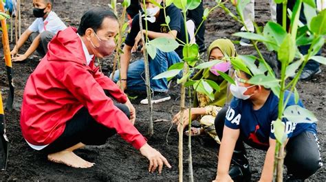 Presiden Rehabilitasi Mangrove Akan Terus Kita Lakukan