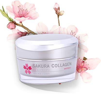 Sakura Collagen - Anti AGE's Cream dengan Ekstrak Sakura