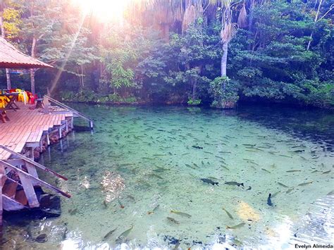 O Que Fazer Em Nobres No Mato Grosso Turista Profissional