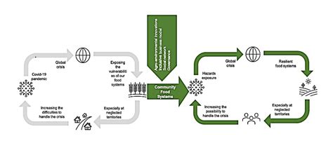 Foods Free Full Text Resilience Of Community Food Systems Cfs Co Design As A Long Term