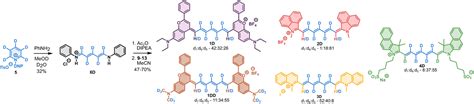 Deuteration Of Heptamethine Cyanine Dyes Enhances Their Emission