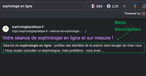 Balise Meta Description Loptimiser Pour Le SEO En 2024