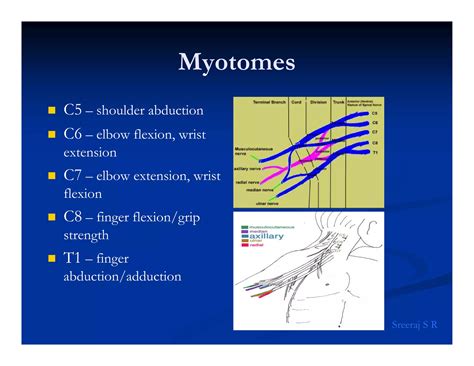 The Elbow Examination Ppt