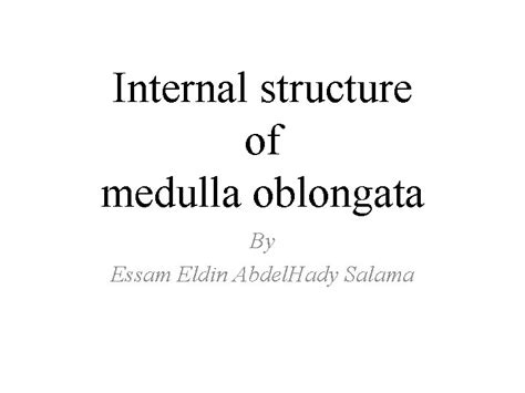 Internal Structure Of Medulla Oblongata By Essam Eldin