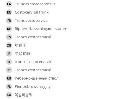 Costocervical trunk - vet-Anatomy - IMAIOS