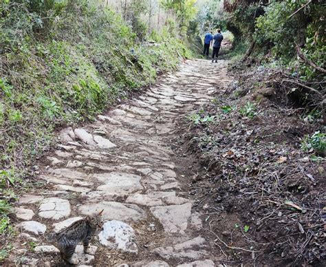 Skopelos Hiking | Hiking Trails | Σκόπελος