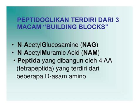 struktur sel bakteri powerpoint    id