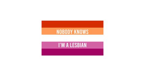 Nobody Knows I M A Lesbian Flag Nobody Knows Im A Lesbian Flag T Shirt Teepublic