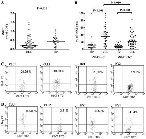 A Percentage Of Cll Inkt Cells Among Cd T Lymphocytes In