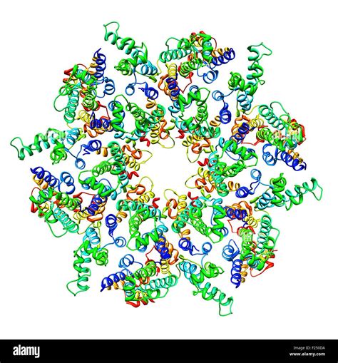 Virus de la inmunodeficiencia Banque d images détourées Alamy