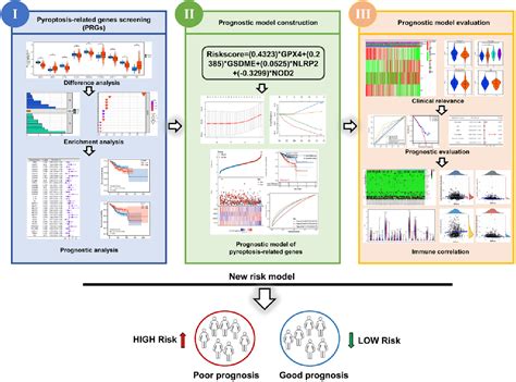 Figure 1 From The Pyroptosis Related Signature Predicts Prognosis In