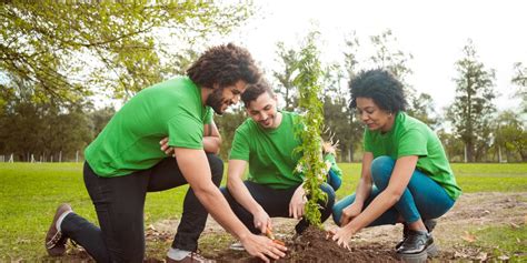 Plant A Tree With Pmg Parthenon Management Group Association