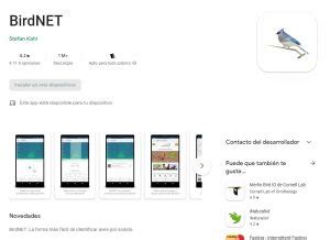 Aplicacion Para Reconocer Aves Por Su Canto Senderismo Guadalajara