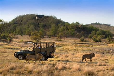 Full Day Pilanesberg Safari Adventure Pilanesberg National Park