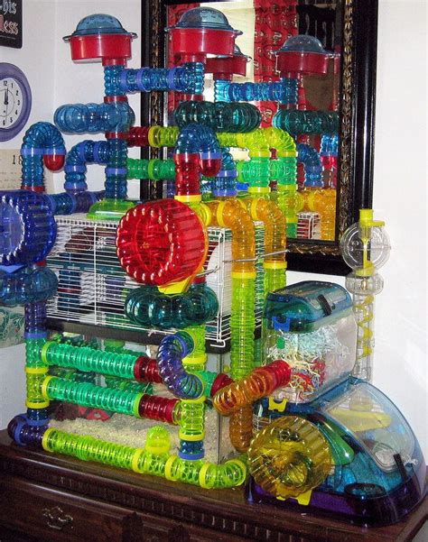 Choosing Hamster Cages And Modular House Habitats Hamster Cages