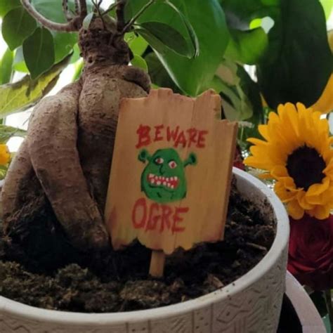 Beware Ogre Shrek Sign Etsy