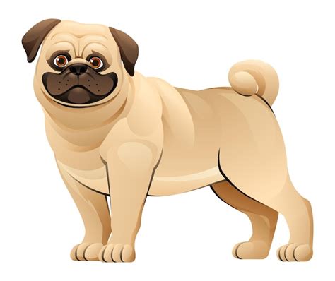 Premium Vector Cute Pug Dog Vector Cartoon Illustration