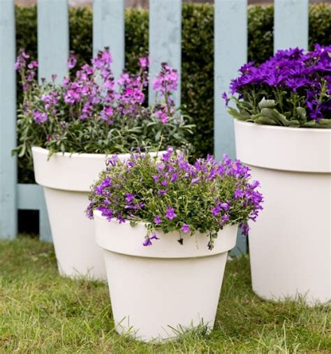 Some blooming great ideas for your summer garden | SHEmazing!