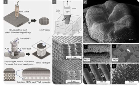 Pdf Additive Manufacturing Of Biomaterials—design Principles And