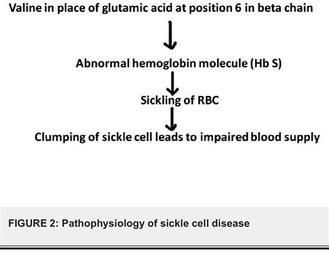 Figure From Musculoskeletal Manifestations Of Sickle Cell Disease A