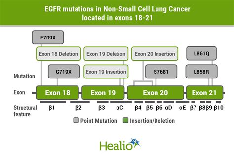 An Overview Of Recent Who Classification And Ajcc Ptnm Off