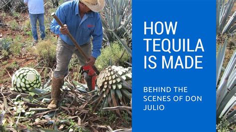 How Tequila Is Made Behind The Scenes Of Don Julio Tequila Youtube