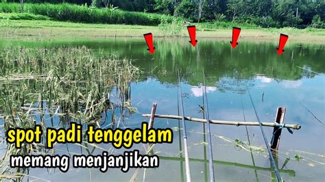 Spot Dangkal Ikannya Banyak Mancing Ikan Nila Waduk Karangkates