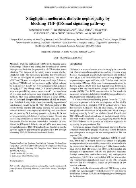 PDF Sitagliptin ameliorates diabetic nephropathy by blocking TGF β1