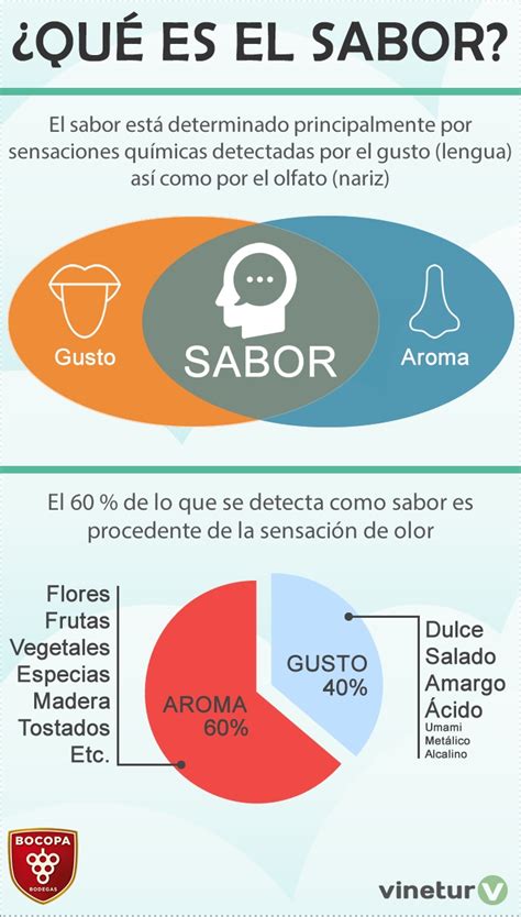 Cuáles Son Los Gustos Básicos Y Cómo Afectan Al Sabor Del Vino