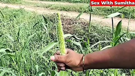 Free Farmer Porn Videos Xhamster