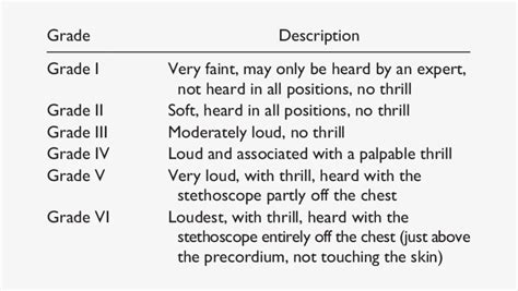 Levine's Grading Of Heart Murmur - Grades Of Murmur Of The Heart - Free ...