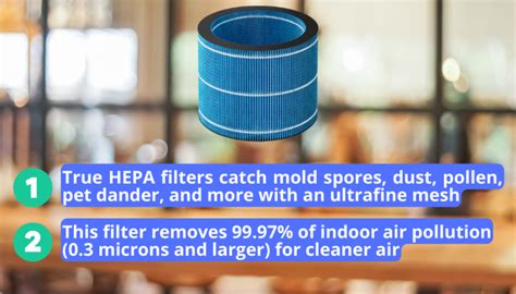 12 Benefits of Air Purifier: Check Why it Best for Clean Air