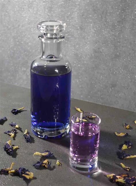 Diy Color Changing Gin How To Infuse Gin With Butterfly Pea Flower