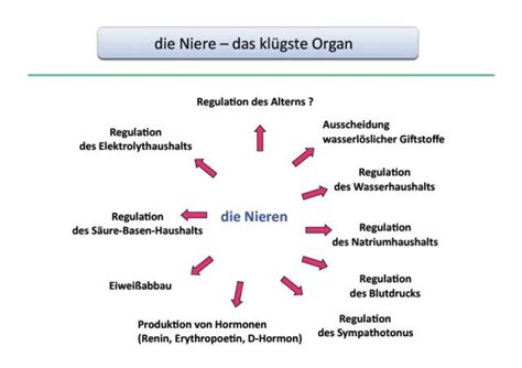 Akutes Nierenversagen Spezialist Finden Infos