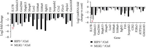 The Activated Rip3mlkl Pathway Is Associated With Increased Il 17b