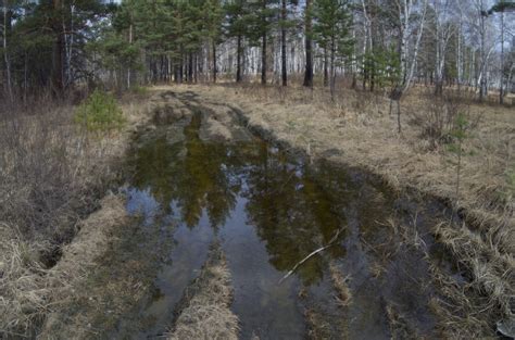 Распутица
