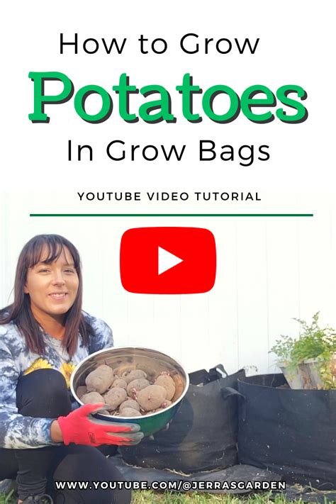 How To Grow Potatoes In Grow Bags Growing Potatoes Grow Bags Grow