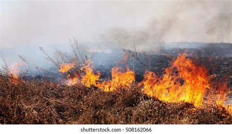 4 259 Brush Fire Damage Royalty-Free Images, Stock Photos & Pictures ...