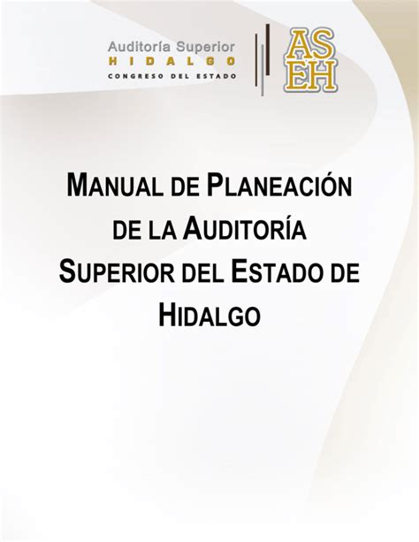 Ir Al Documento Auditor A Superior Del Estado De Hidalgo