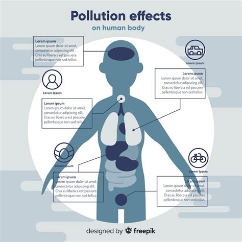 Free Vector Pollution On Human Body Infographic