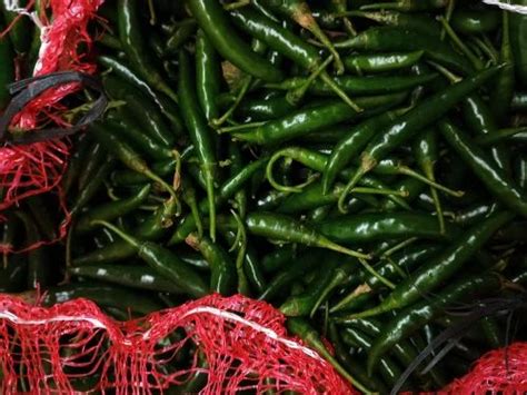 A Grade Fresh Green Chilli Pan India Packaging Size 20 Kg At Rs 45